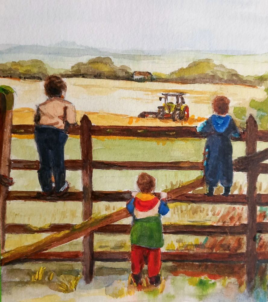 Watercolour of the back view of 3 small boys looking over and through a 5 bar gate at a tractor in a field. 