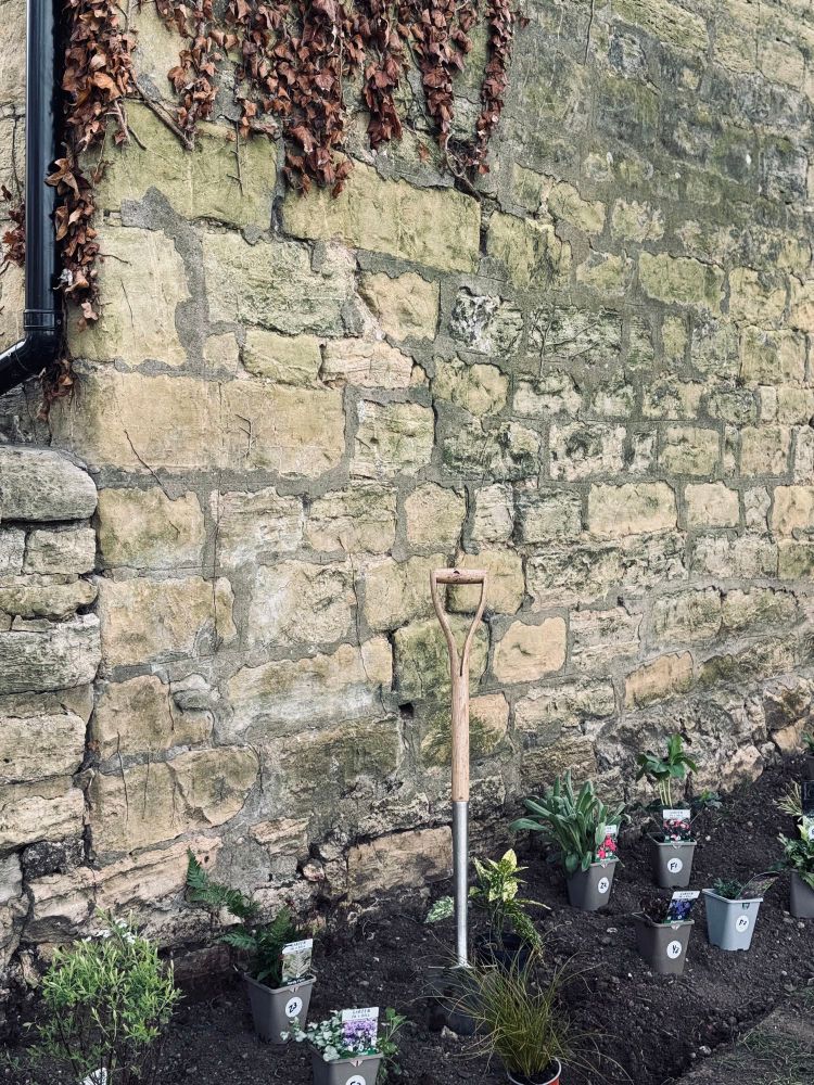 A limestone wall with a flowerbed beneath, a spade is stuck in the earth, surrounded by plants, some planted, others still in pots. 