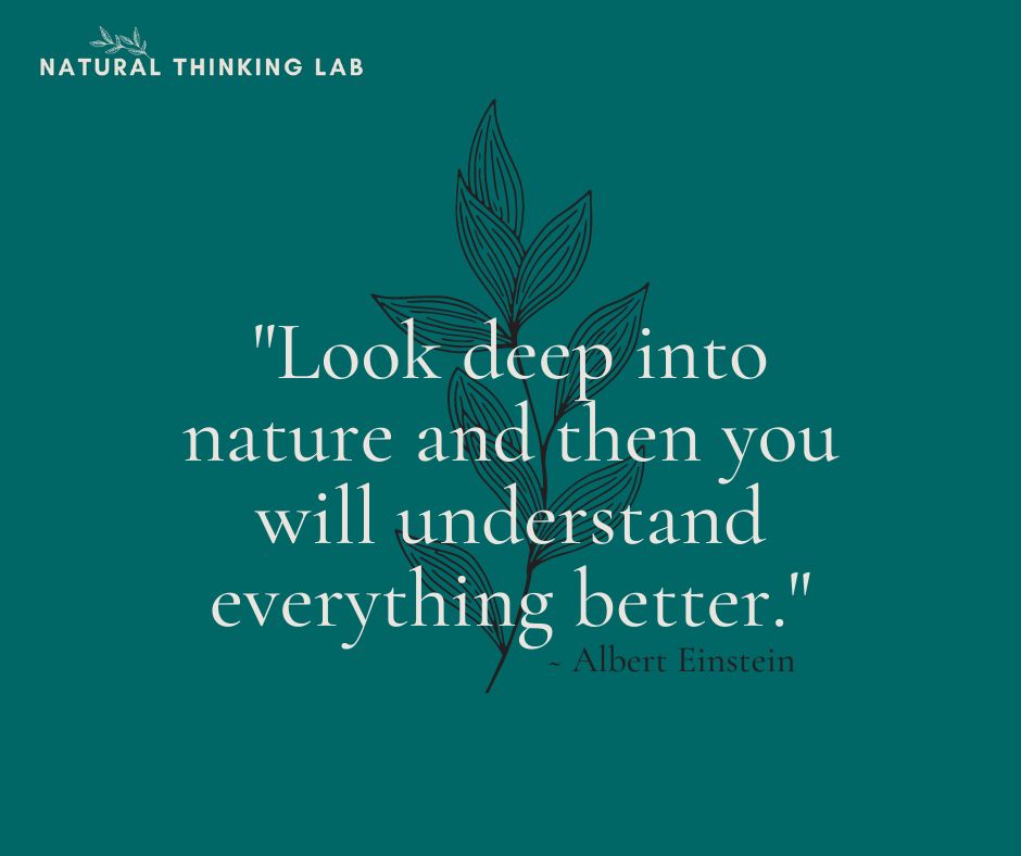 ‘Look deep into nature and then you will understand everything better’ quote by Albert Einstein