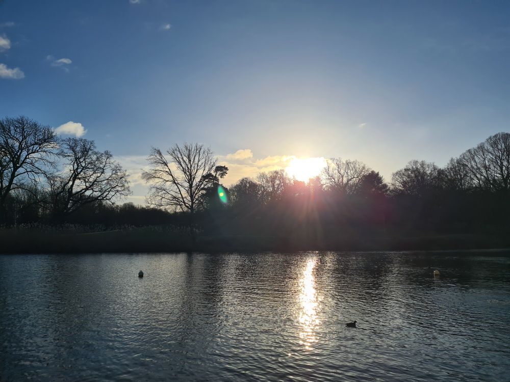 Bright sunrise behind treeline reflecting on a lake in the foreground