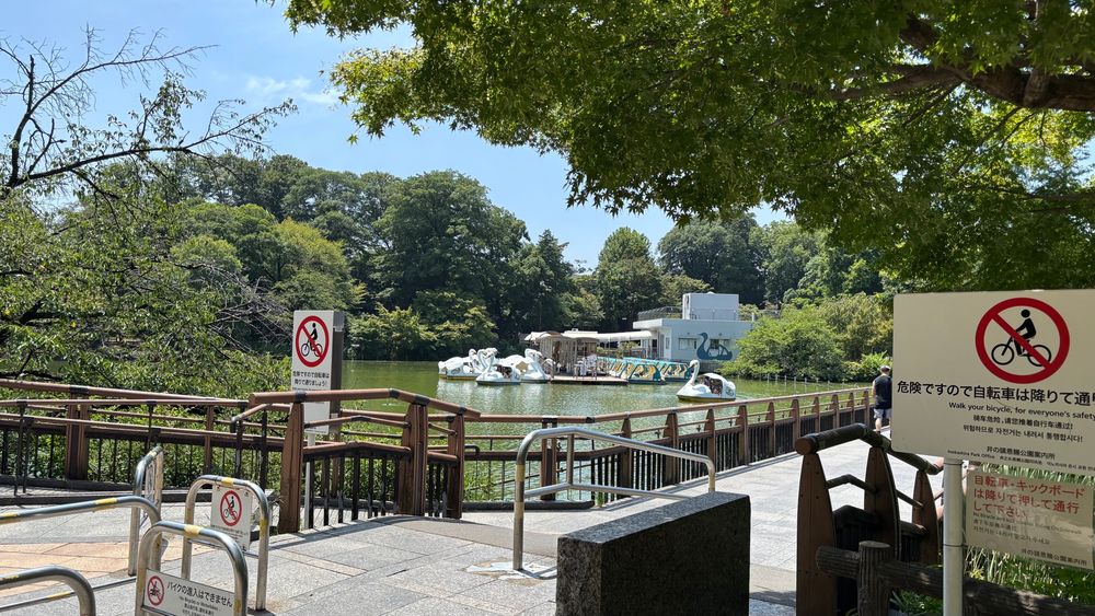 井の頭公園のボート乗り場を遠くから撮った写真。白鳥の形のボートが並んでいる。