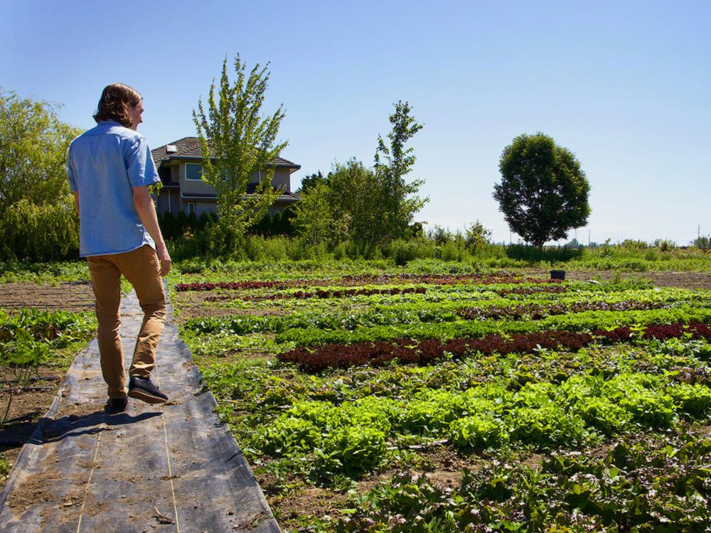 How a Wildly Successful Seed Company Stays True to Its Roots | The Tyee