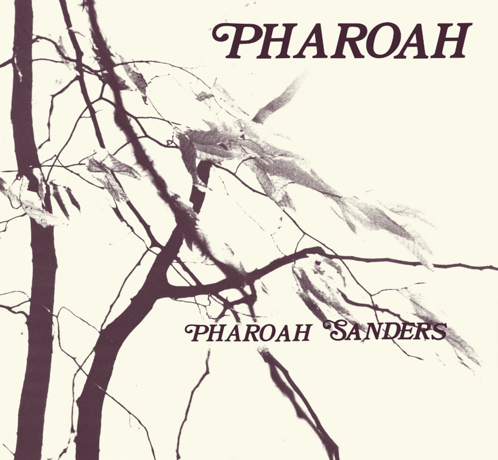 the album art for "pharoah" by pharoah sanders - a high-contrast greyscale photo of some tree branches against a harsh white sky.