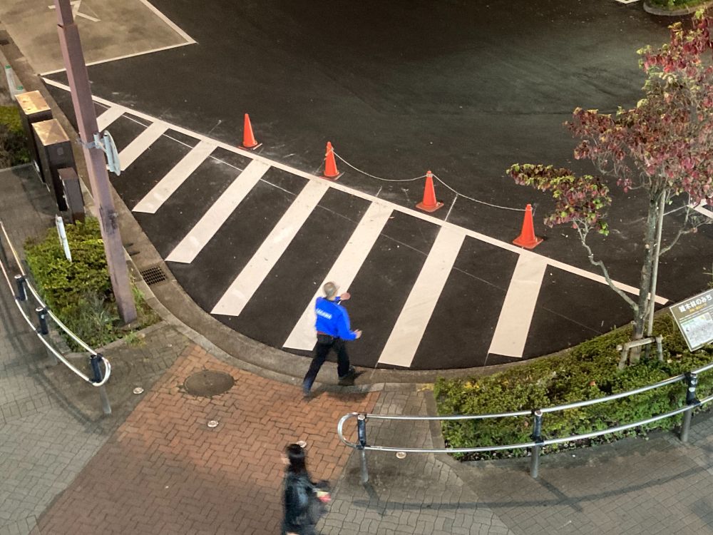 A pedestrian in a blue jacket is walking past a crosswalk on a street at night. There are orange traffic cones marking an area nearby, and a tree with reddish leaves is visible. The scene includes pavement and a railing along the walkway.