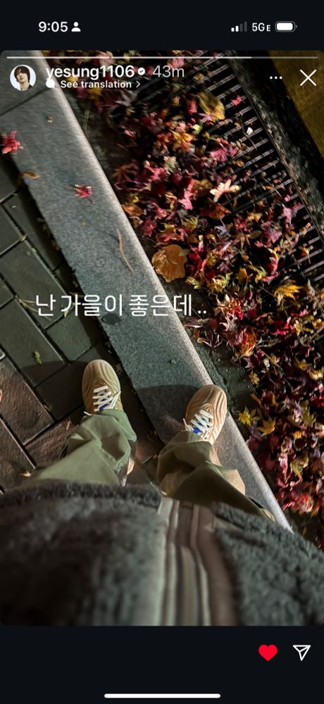 Screenshot of Yesung’s Instagram story of a photo taken by the artist showing his tennis-clad feet while standing on a path covered by fallen leaves in autumn. Posted by the artist on 12/09/2024 around 1:20 pm KST. 