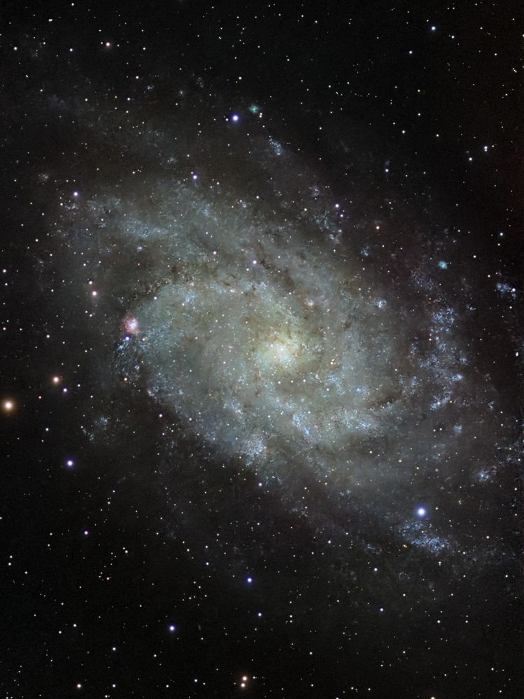 The Triangulum Galaxy M33, photographed with a Seestar S50. 2h of data, processed in Pixinsight.