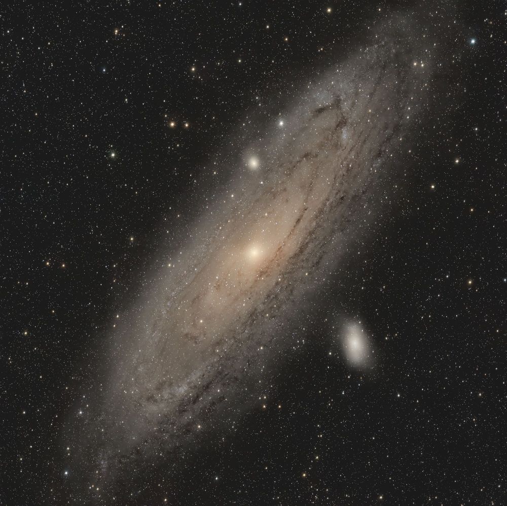 A yellowish shining spiral galaxy with dark brownish dust bands and blueish groups of young hot stars.