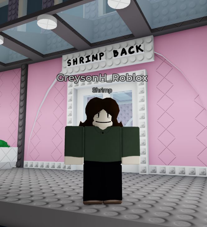 My Roblox avatar in front of the Shrimp Back store, made by Felenopy. Felenopy is also the creator of the clothing seen on my avatar. The custom head is created by a separate individual, ApplebutGold, Goldenlapple, or simply Appl.