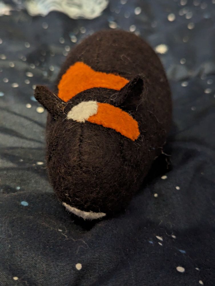 A photo of a black guinea pig plush with orange patches