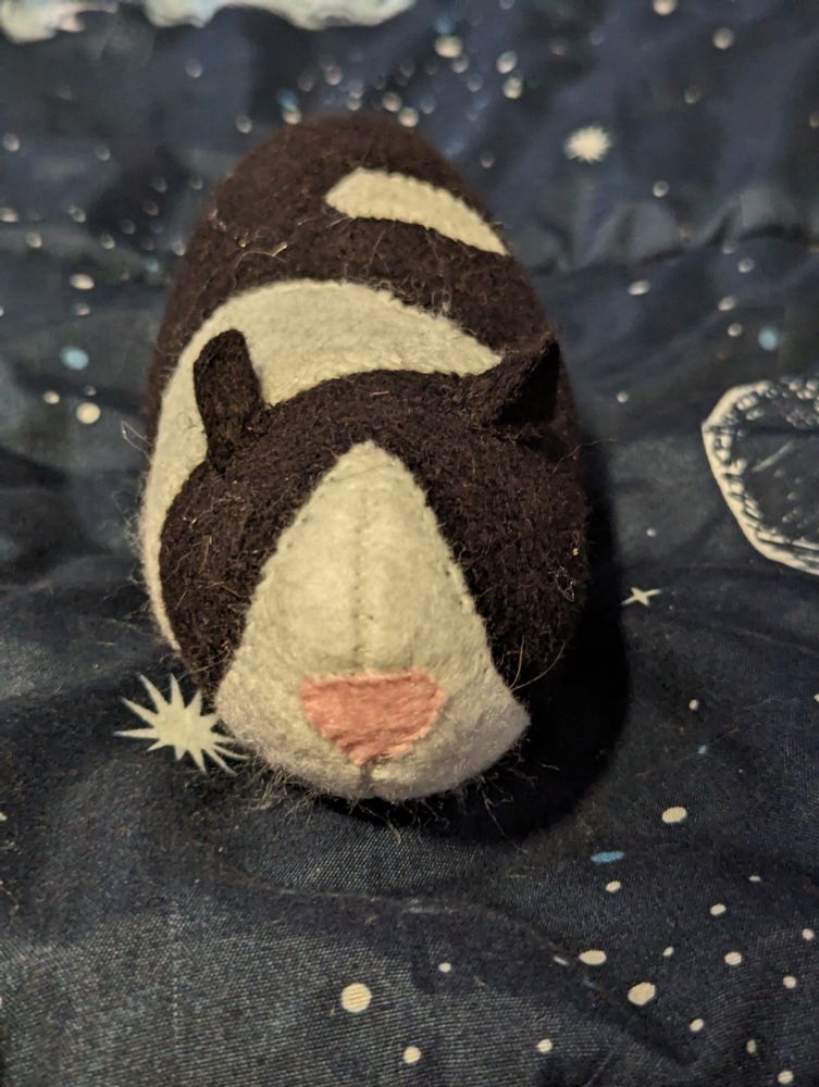 A close up of the black and white guinea pig plush. He's mostly black with white patches, and a pink nose