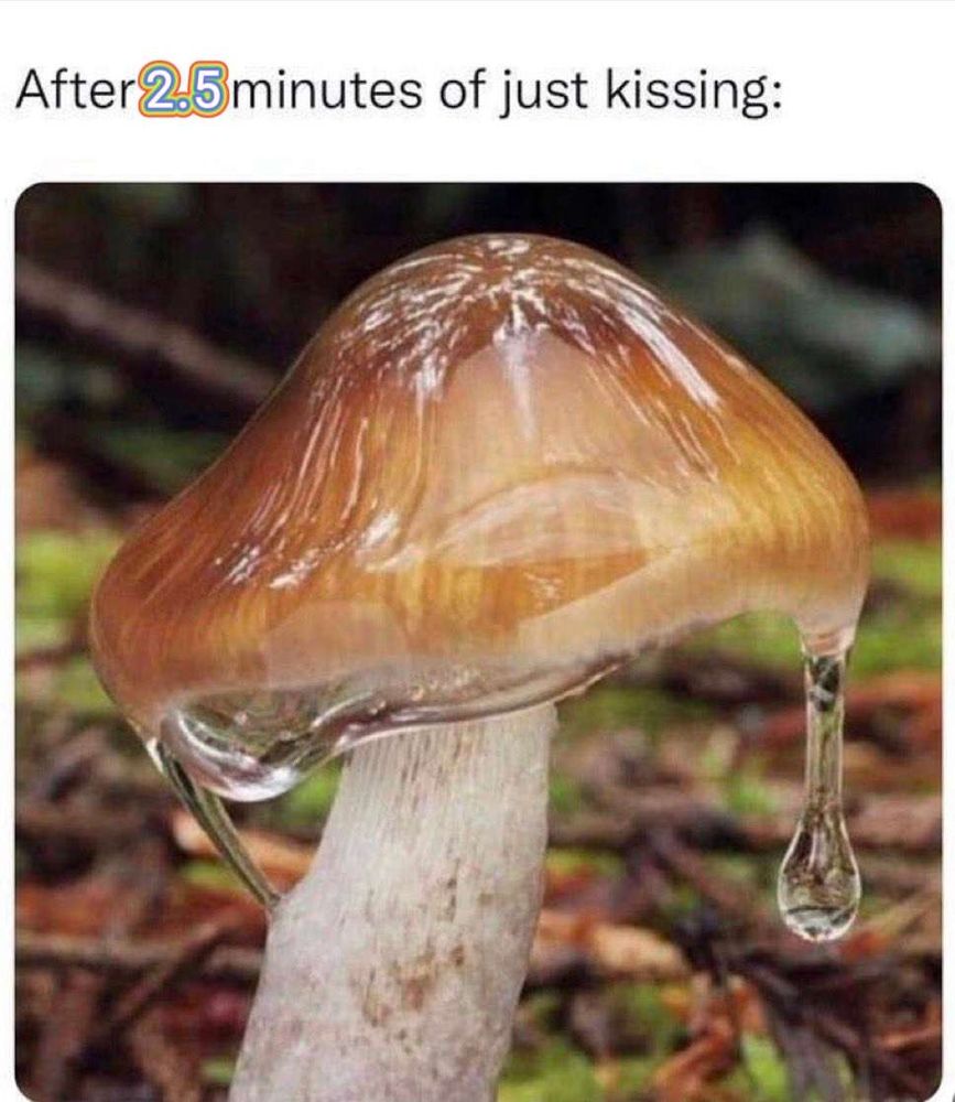 A lovely white stemmed and orange capped mushroom is dripping with a clear, honey like substance. 
Text: after 2.5 minutes of just kissing. All of the text is black except for the number 2.5, which is white and outlined in rainbow colours.