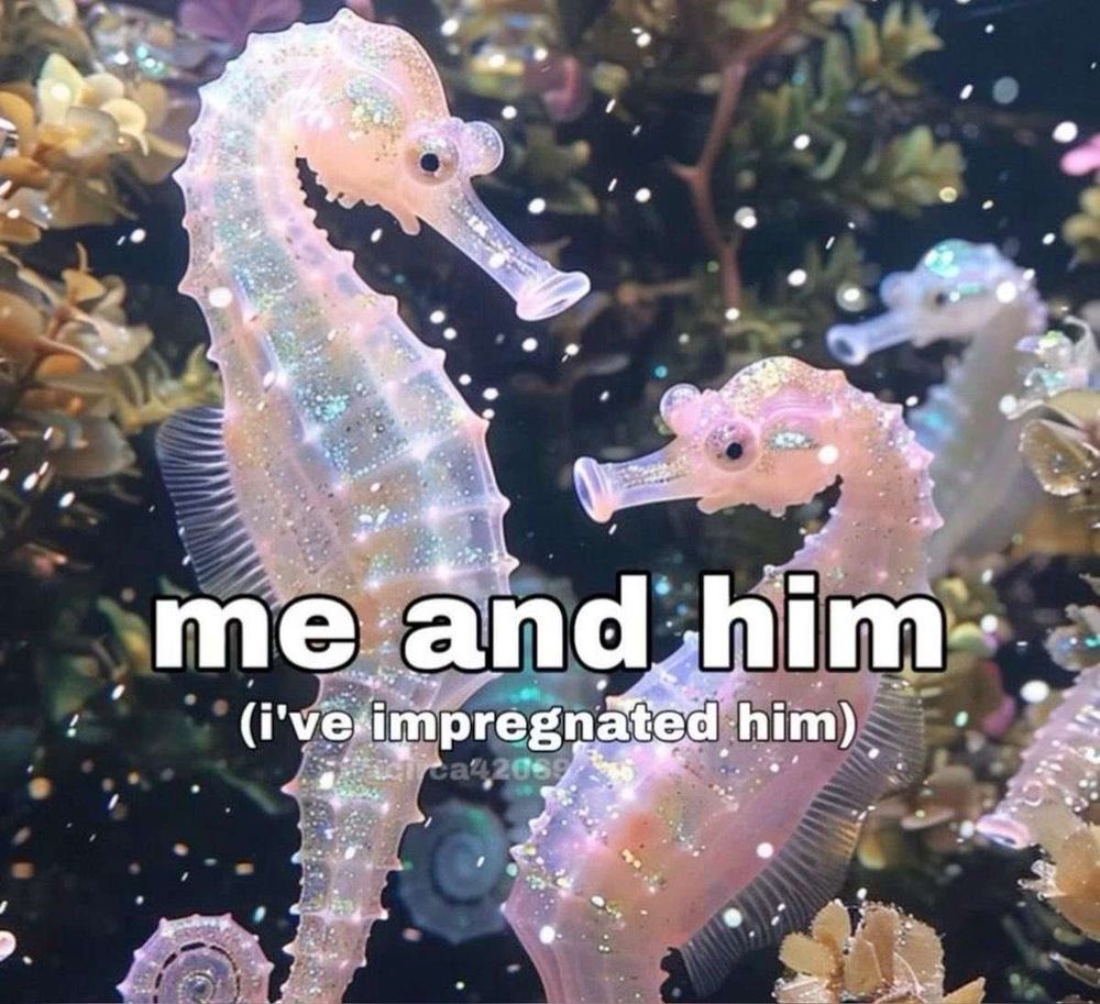 image: two beautiful seahorses in a magical underwater environment - one appears to be pregnant. another seahorse is visible in the background

text: me and him (I've impregnated him)