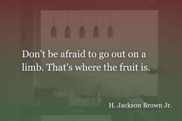 Don't be afraid to go out on a limb. That's where the fruit is. - H. Jackson Brown Jr.