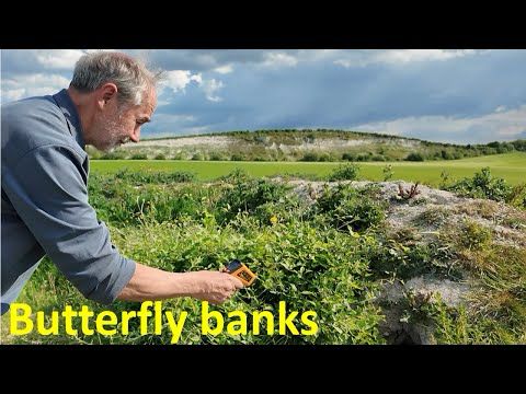 Habitat flattening: the often ignored component of conservation management and restoration