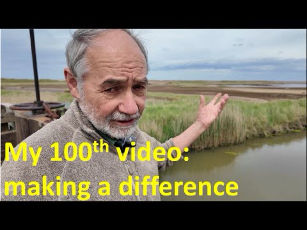 100 Videos Later: What Nature Has Taught Me About Ecology and Conservation
