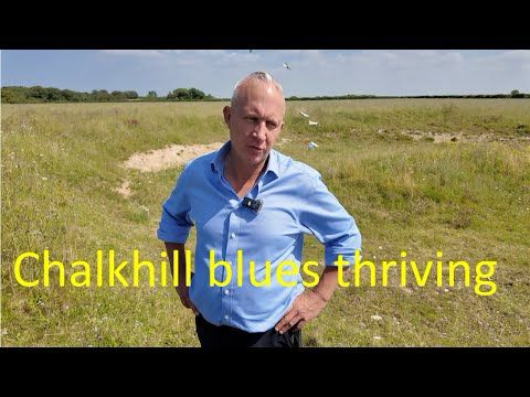Butterfly hollows for species recovery