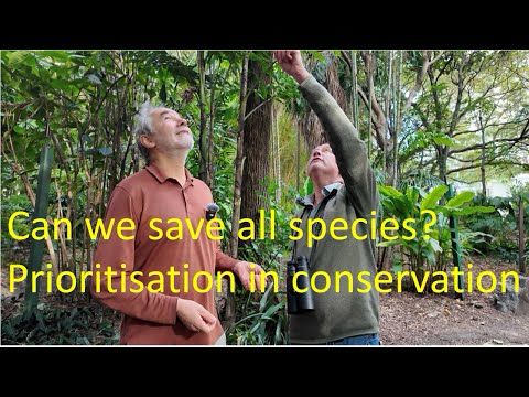 Conservation triage: prioritising actions with limited resources