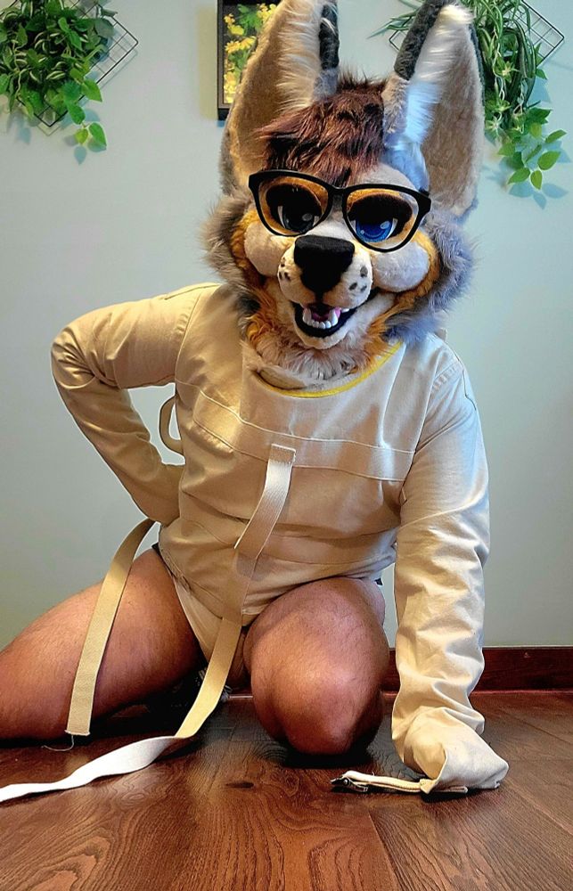 Fursuiters wearing an untied straitjacket and diaper