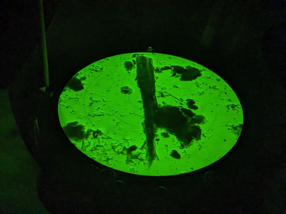 A glowing green circle dominates the view. Within are a number of irregular dark shapes and then, in the center, an angular mass much like a sliver of broken glass or an icicle. Wide at the top and narrow at the bottom, its primary variance from a shard of glass is its tip, which radiates outward in a small forest of loose ends.