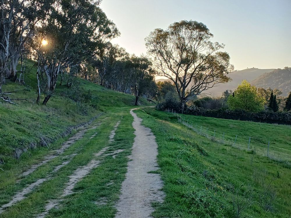 A bush walking track, with the land steeply sloping downwards on the right-hand side,  winds its way towards trees on the right, while land on left side if track slopes steeply upwards, with a setting sun piercing uts way through the trees.