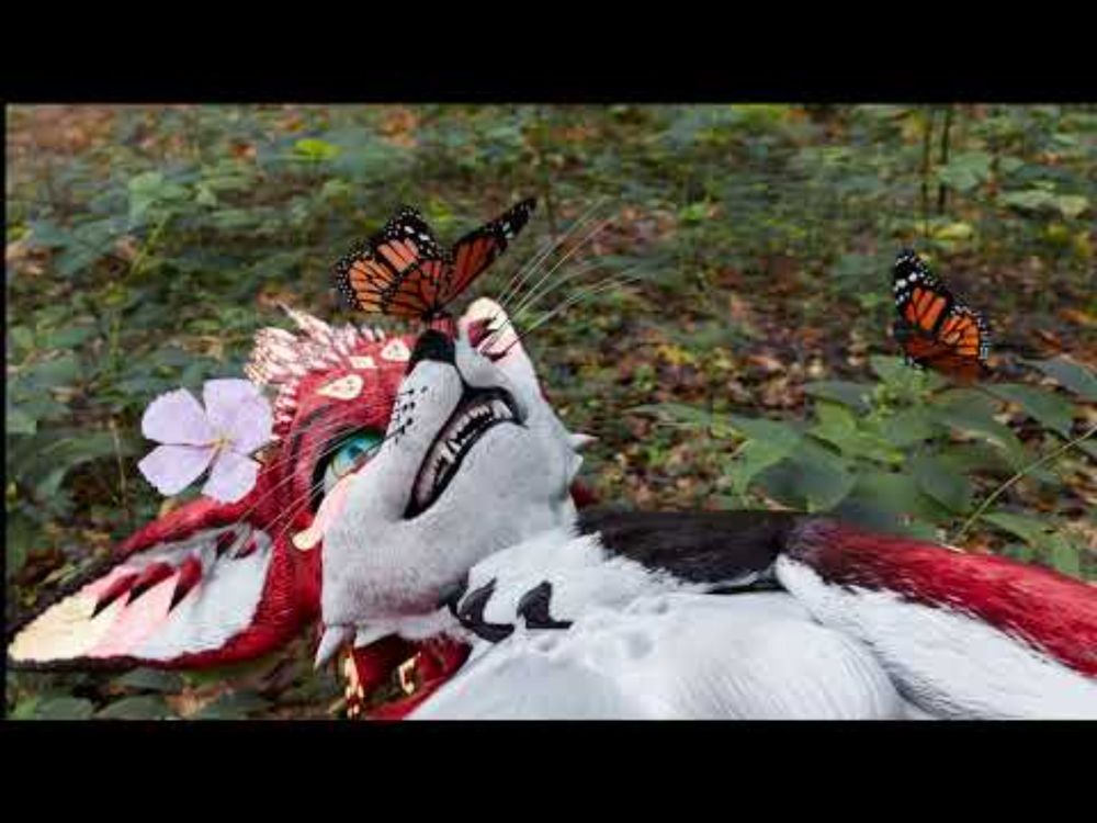 Furry Rexouium Relaxing forest sound