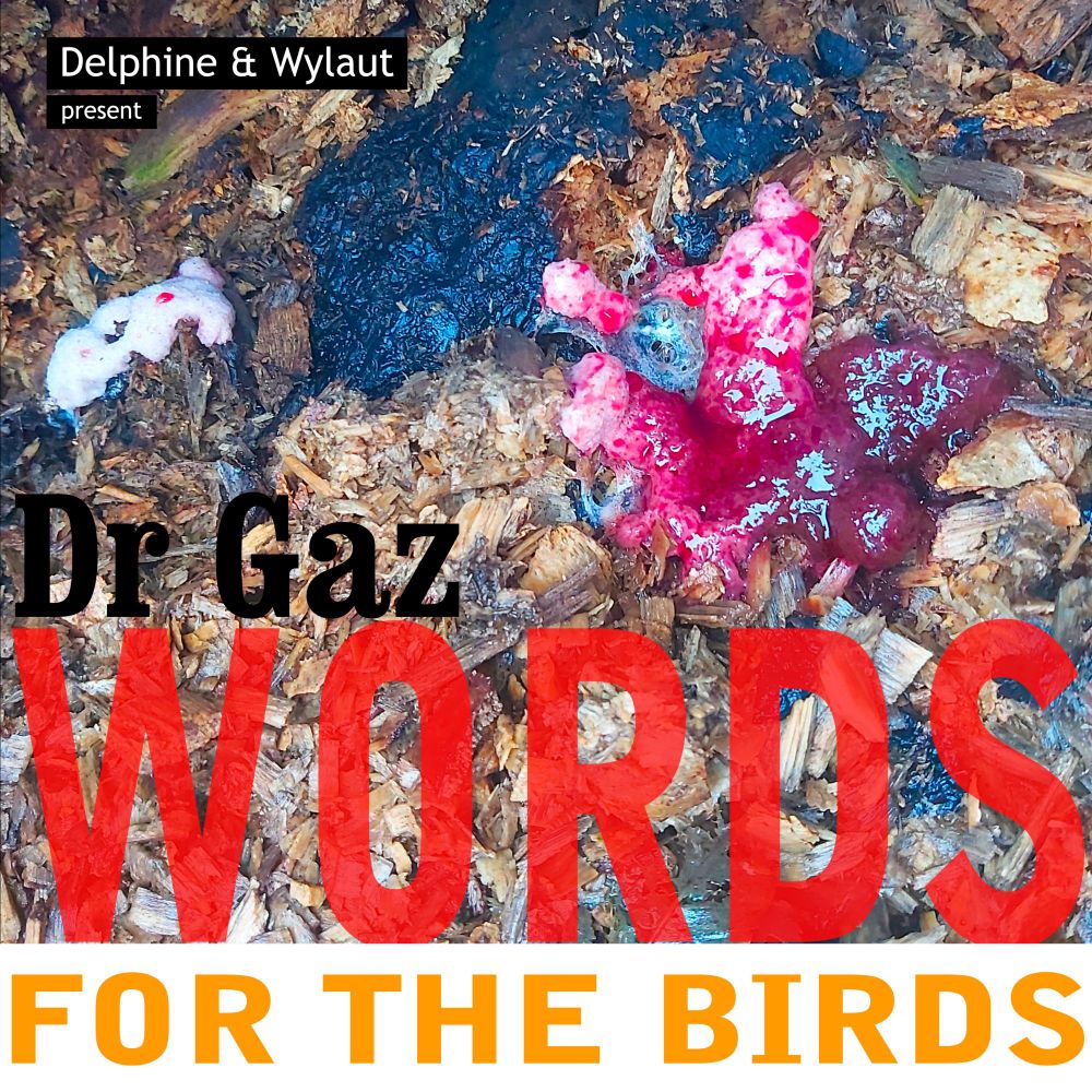 Cover art for "Words For The Birds" by Dr Gaz featuring a pink slime mould growing on old woodchip.