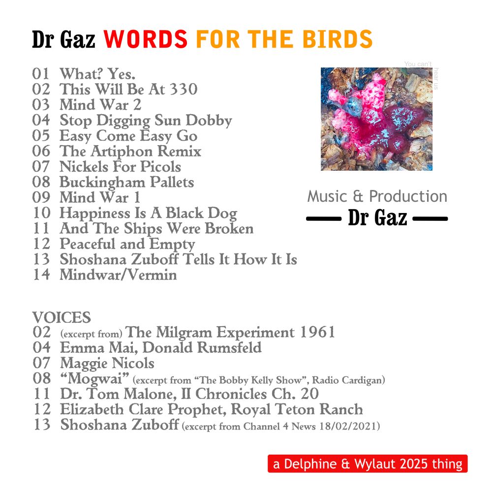 Track listing & credits for "Words For The Birds" by Dr Gaz