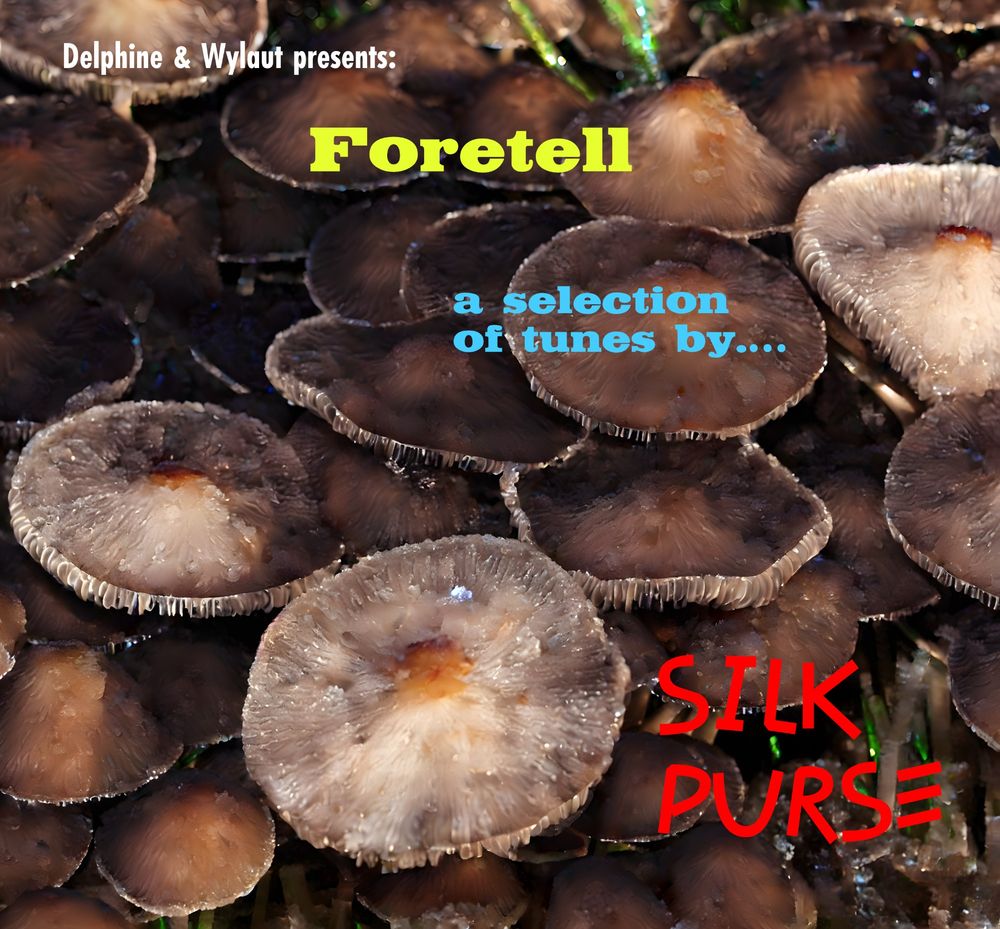 Cover artwork for music album "Foretell" by Silk Purse.