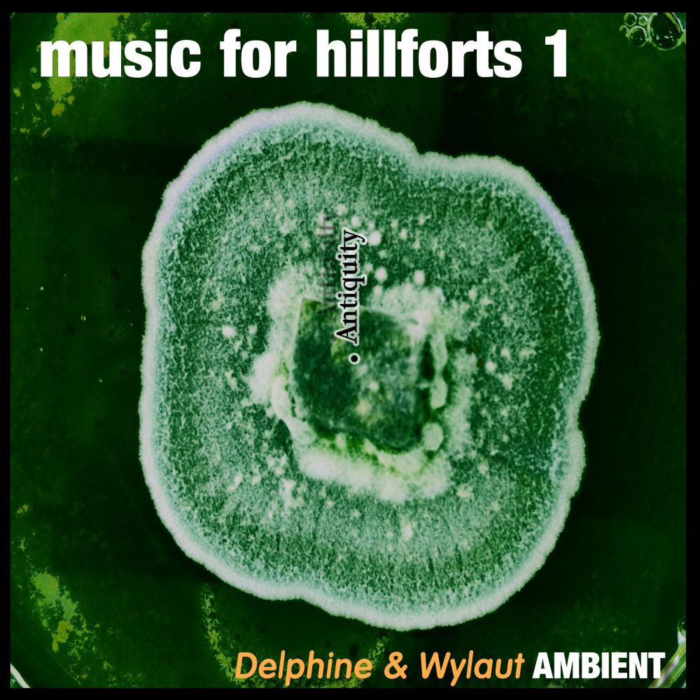 Cover of 'Music For Hillforts" by Gary Whiteley