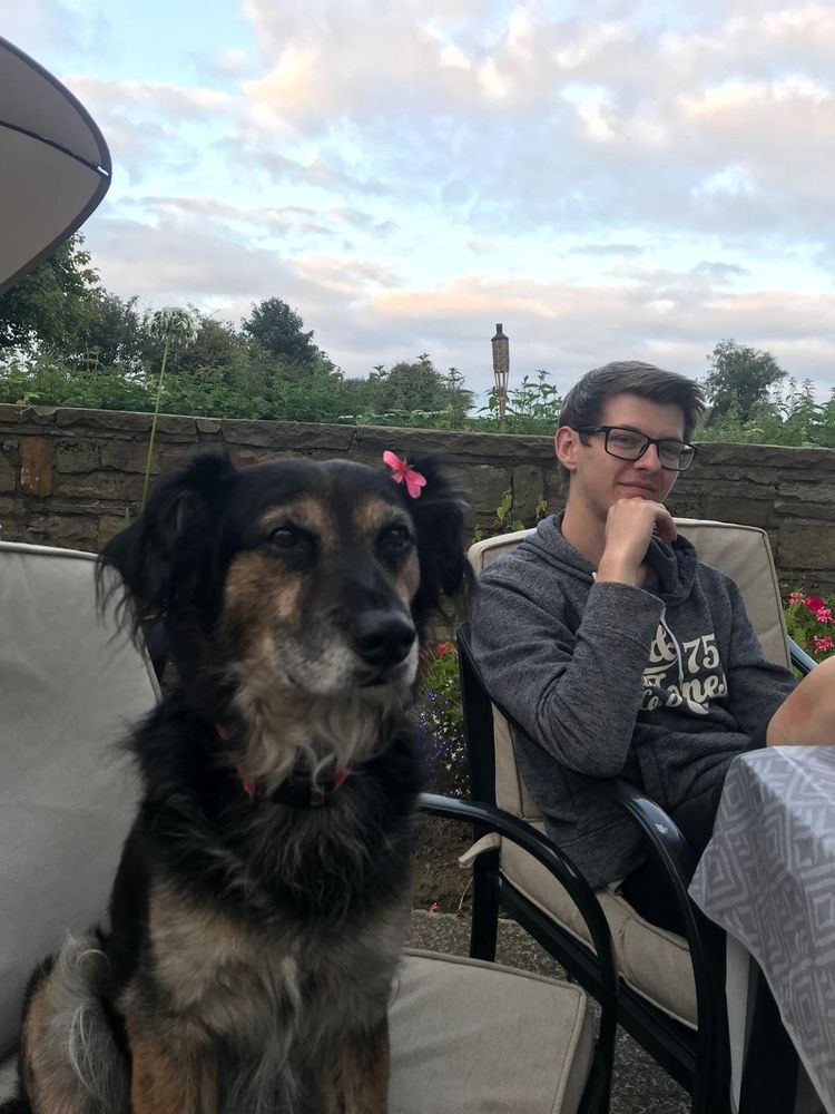 The bestest boy, sitting on a chair with a pink flower behind his ear