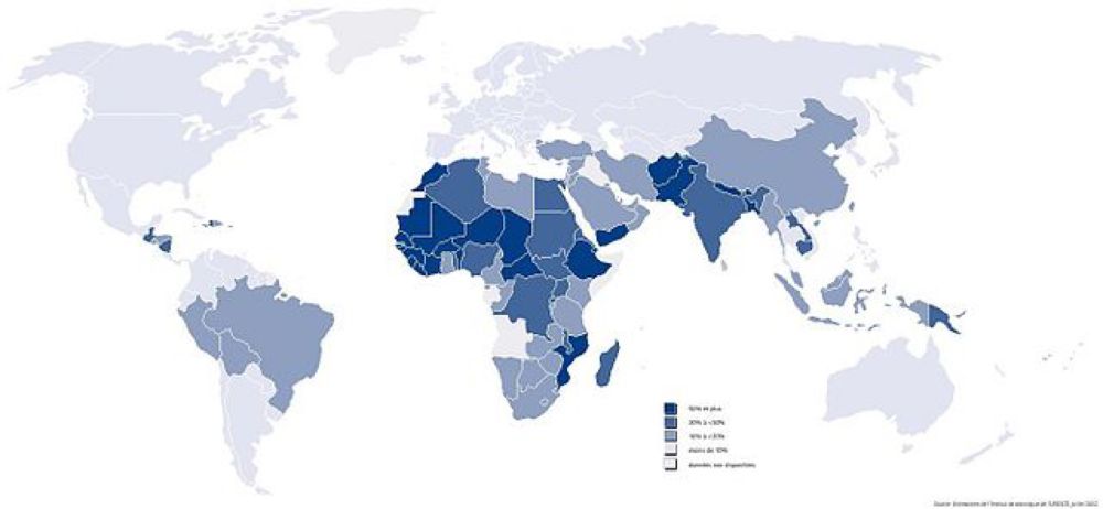 Analfabetismo - Wikipedia