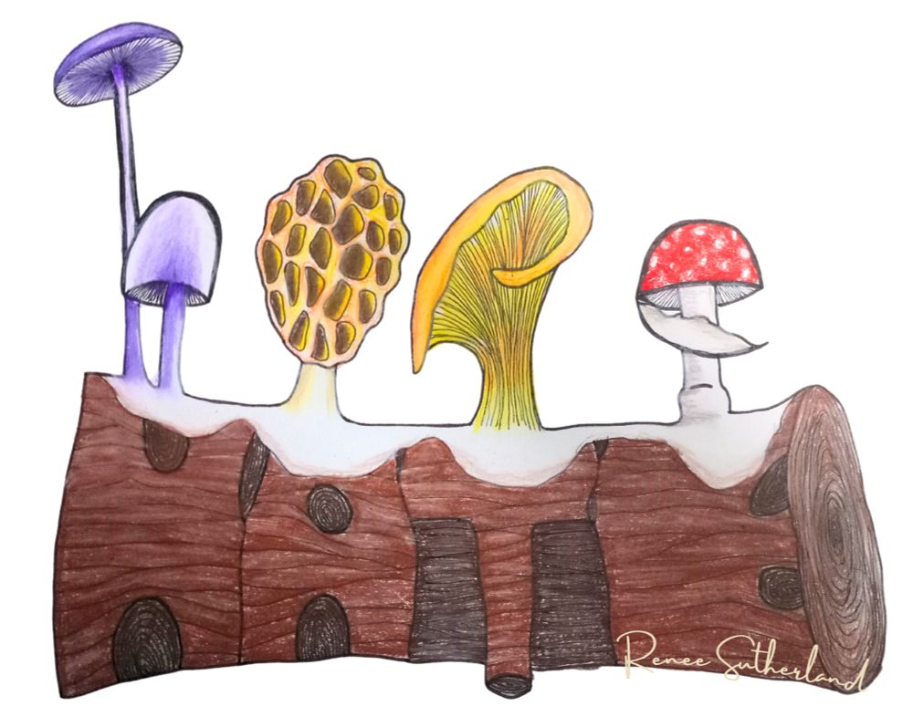 A colorful illustration drawn in colored pencil depicting a rotting log lettered out to spell "hate" with four different mushrooms eating away at the decay spelling "hope". The mushrooms are a purple parasol type mushroom, a morel, a chanterelle, and an amanita muscaria.