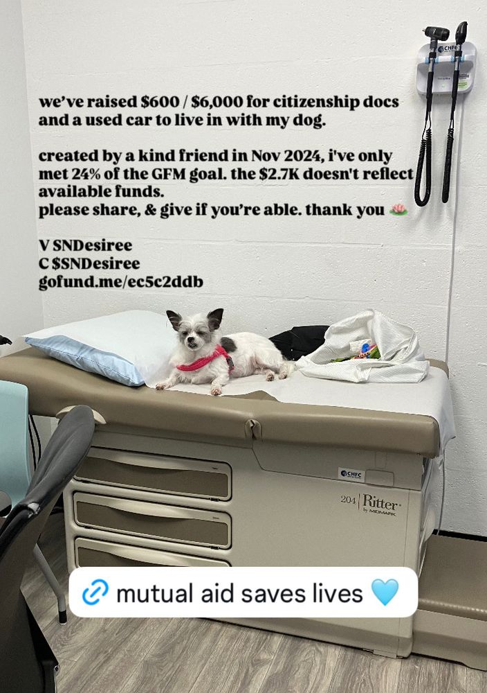 Esmé the dog on a human medical exam table. we’ve raised $600 / $6,000 for citizenship docs and a used car to live in with my dog.

created by a kind friend in Nov 2024, i've only met 24% of the GFM goal. the $2.7K doesn't reflect available funds. 
please share, & give if you’re able. thank you 🪷

V SNDesiree
C $SNDesiree
gofund.me/ec5c2ddb

mutual aid saves lives