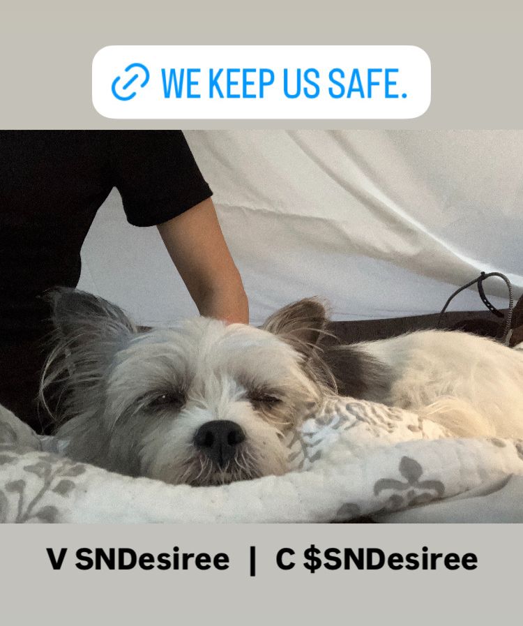 A human woman and her snoozing dog under tented cover. The text reads, “we keep us safe” and two pay handles for Venmo and Cash app, respectively, are at the bottom of the image in black font. Venmo SNDesiree; cash app $SNDesiree
