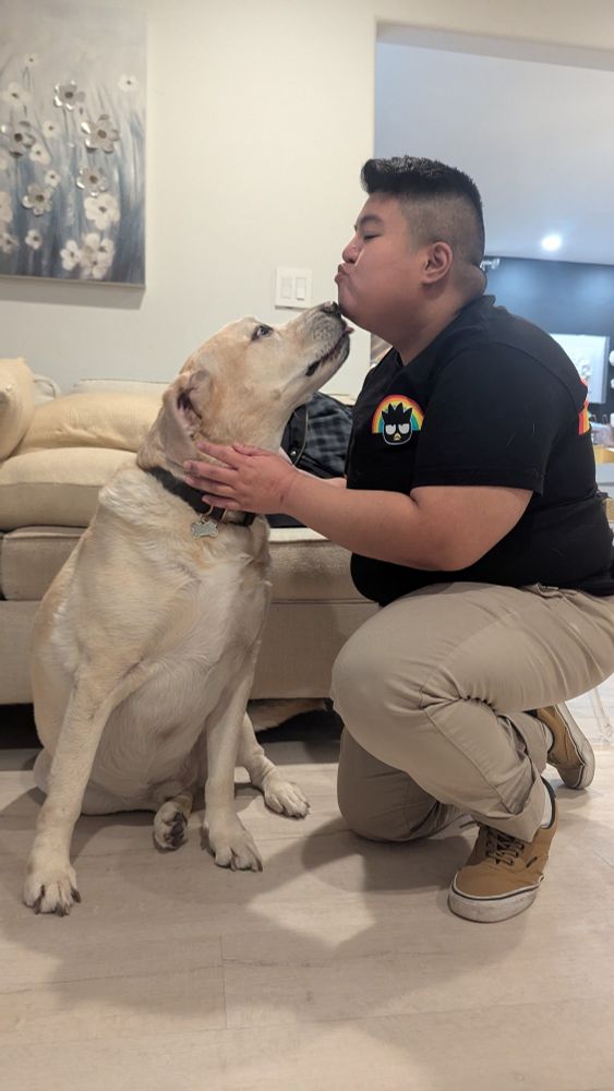 Nico Malaon a fat brown queer is kneeling down on one knee kissing a golden Labrador.