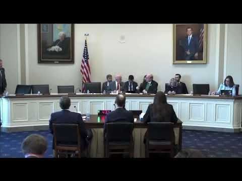 Republican Calls Sarah McBride "Mister," McBride fires back, Dems Object And End Haring