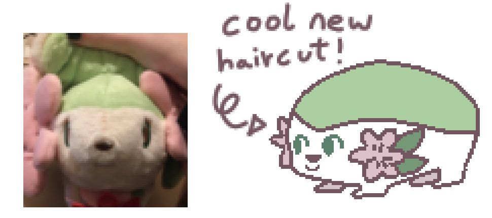 Cool new haircut for shaymin (bald)