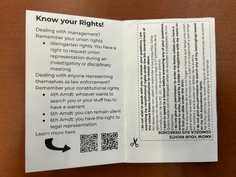 An internal page of the zine describing member rights and what to do if you're detained or searched