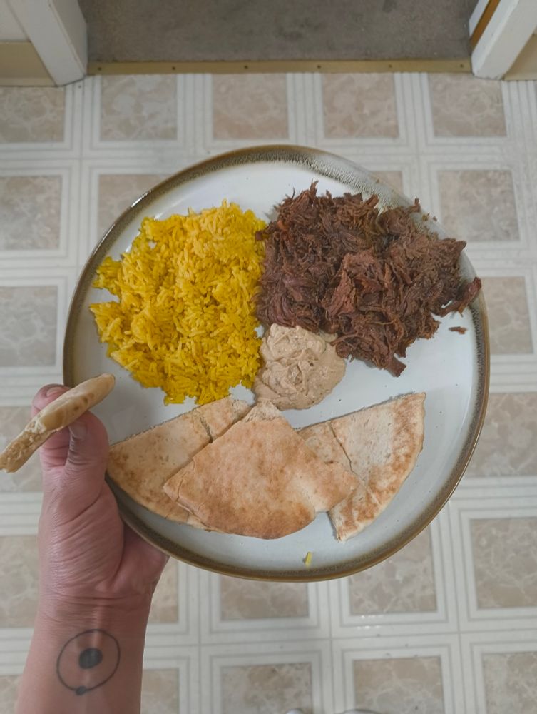 A plate of food, including (counterclockwise from left) yellow rice, pita bread, hummus & shredded beef.