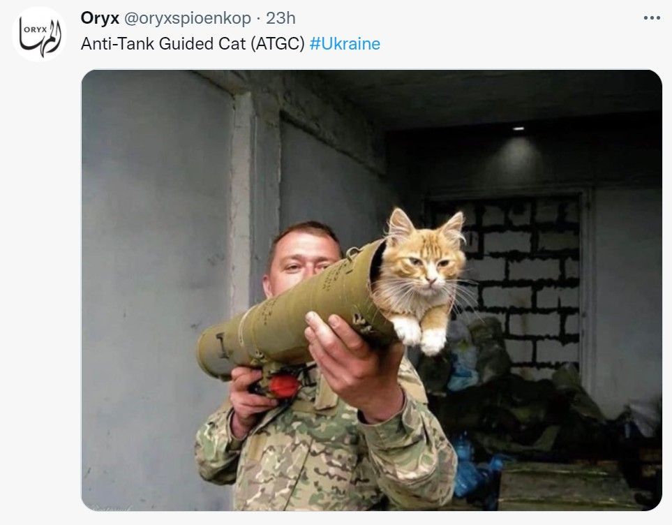 Comment image