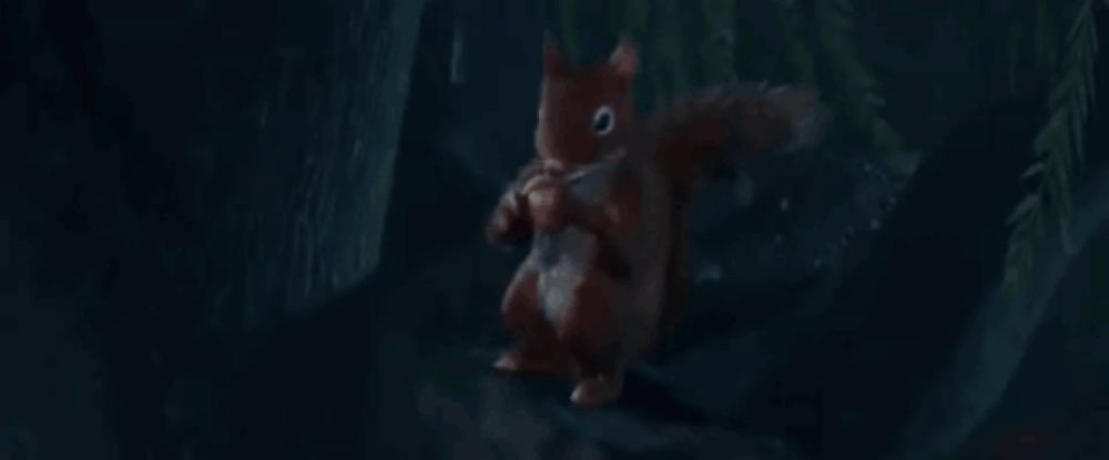 a red squirrel is standing on a tree branch in the dark .