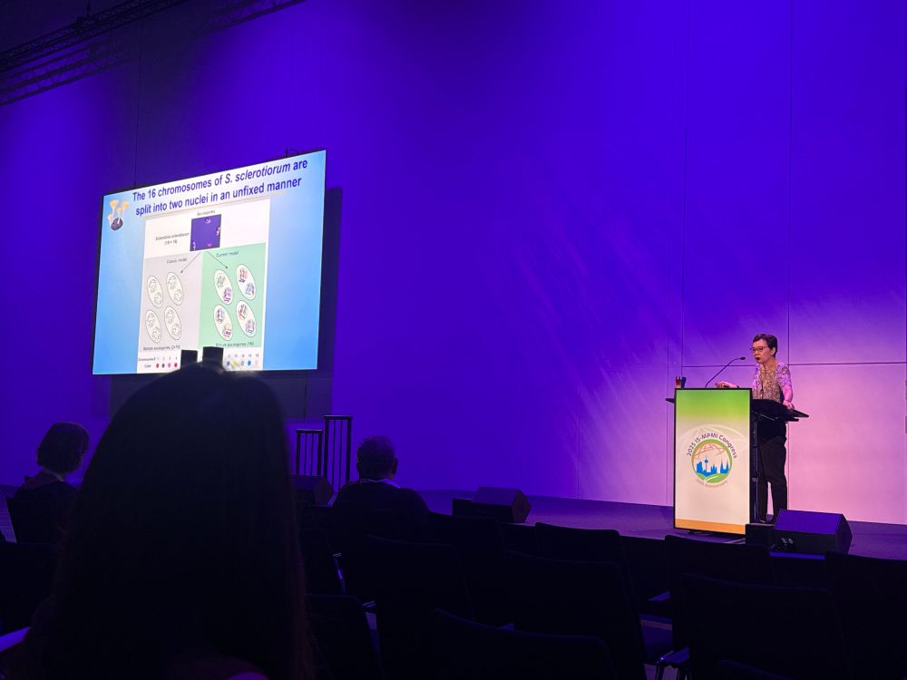 A person giving a talk at a scientific conference on a lit stage at a lectern. A diagram about fungi nuclei is on the slide 