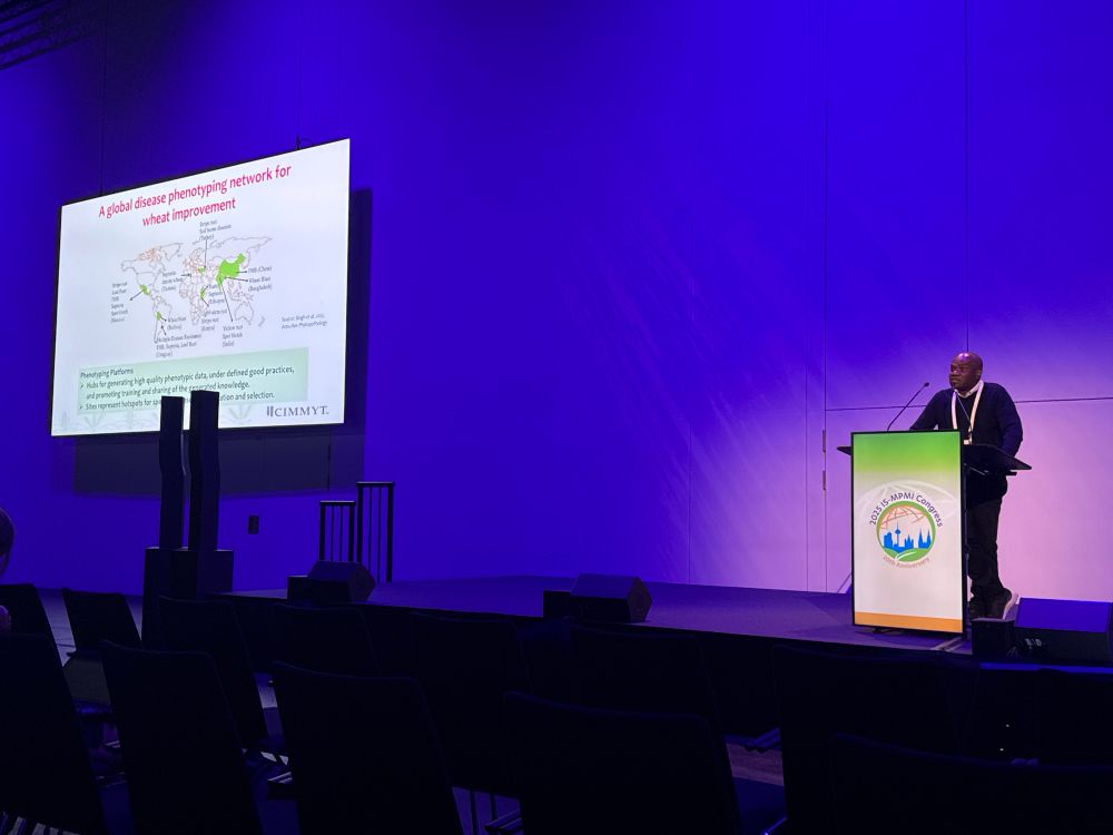 A man presenting at a lectern with an MPMI logo. To the side a PowerPoint slide shows the CIMMYT global phenotyping network for wheat improvement