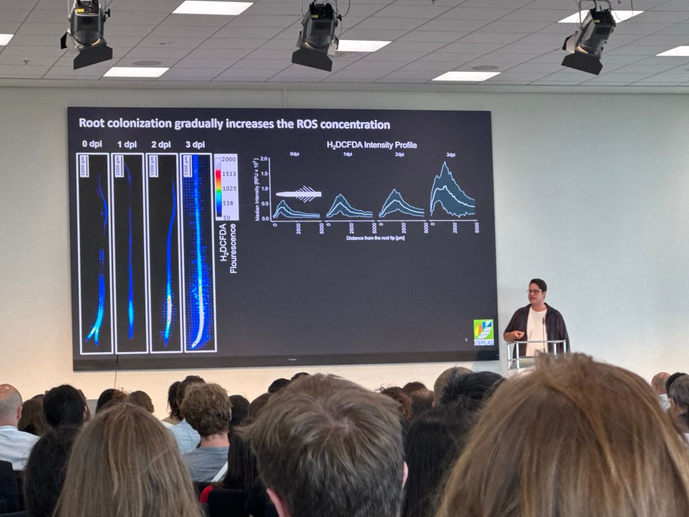 A man giving a scientific seminar with a slide of root colonization