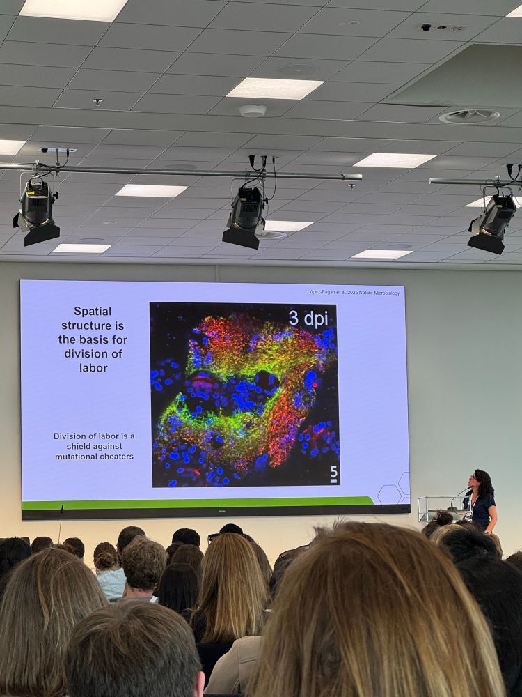 A woman giving a scientific talk with a PowerPoint slide showing a colorful micrograph and test indicating that spatial structure is the basis for division of labor 
