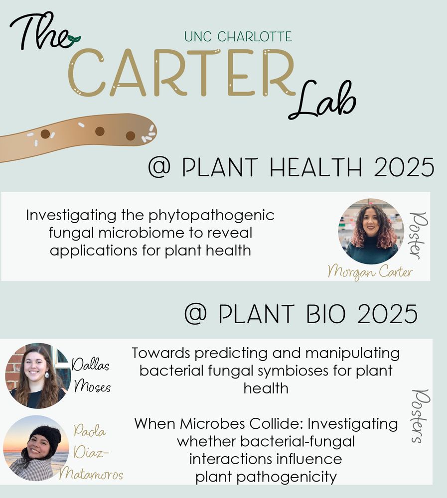 A flyer for the carter lab presentations. Morgan is presenting a poster on fungal microbiomes at Plant Health 2025. Dallas Moses and Paola Diaz-Matamoros are presenting posters on bacterial-fungal interactions at Plant Bio 2025.
