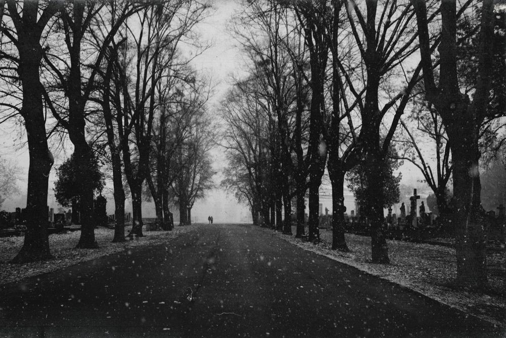 Kontrastreiches schwarz-weiß Foto von einer Allee am Zentralfriedhof. Es schneit und im Hintergrund lassen sich die Silhouetten von 2 Personen erkennen.