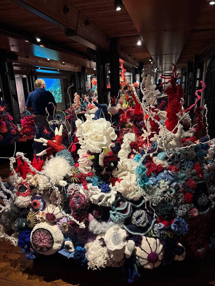 Another crocheted coral reef. The reef overall fills a room of maybe 20x10 meters. 