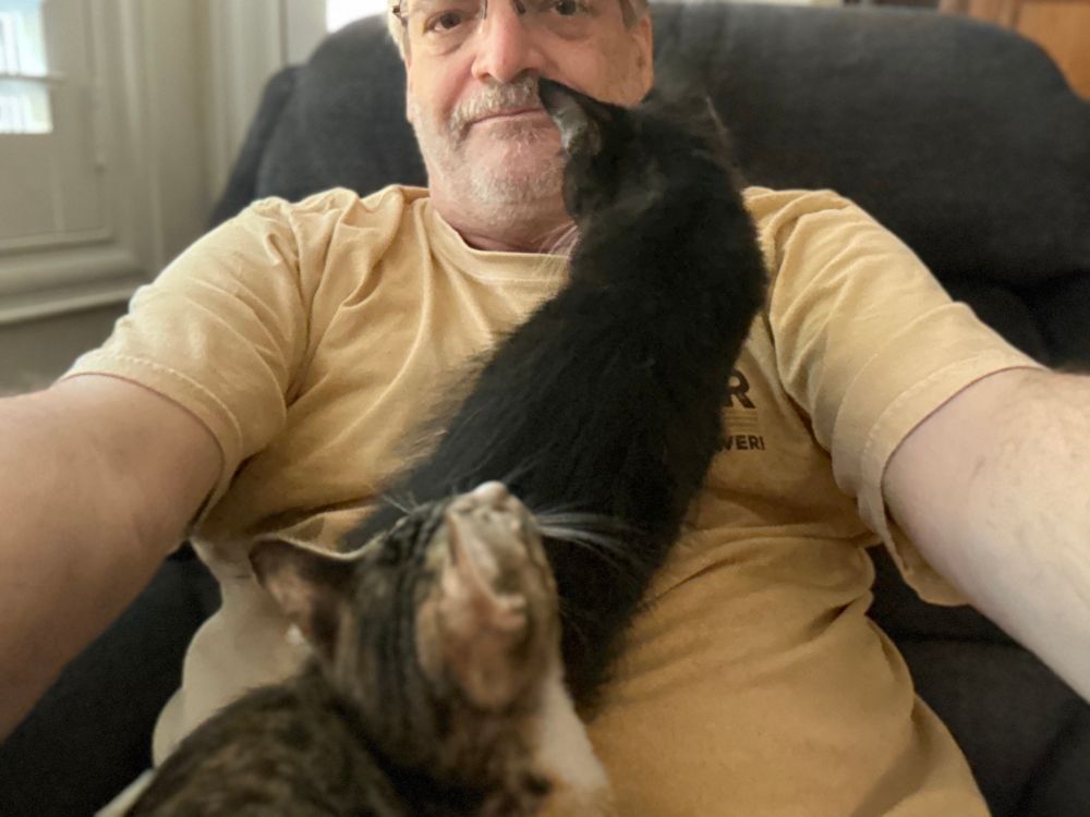 Our kittens on my lap