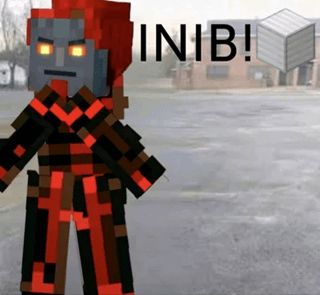INIB
